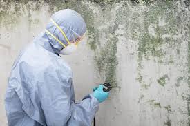 Best Biohazard Mold Removal  in Genoa, OH